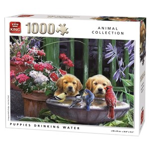 King International (05668) - "Puppies drinking Water" - 1000 piezas