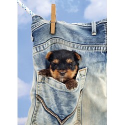 Art Puzzle (4163) - "I Get Dry!" - 500 piezas