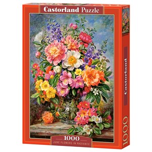 Castorland (C-103904) - "June Flowers in Radiance" - 1000 piezas