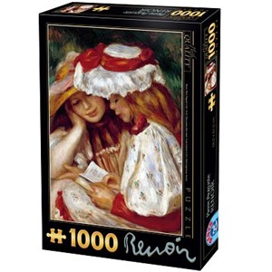 D-Toys (66909-RE08X) - Pierre-Auguste Renoir: "Two Girls Reading" - 1000 piezas