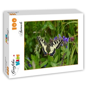 Grafika Kids (01222) - "Butterfly" - 100 piezas