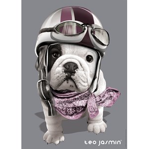 Nathan (87551) - "Teo" - 1000 piezas