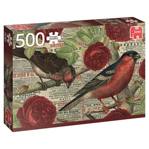 Jumbo (18398) - "Birds love flowers" - 500 piezas
