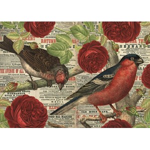 Jumbo (18398) - "Birds love flowers" - 500 piezas