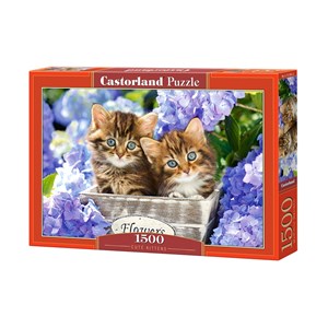 Castorland (C-151561) - "Cute Kittens" - 1500 piezas