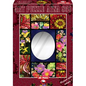 Art Puzzle (4266) - "Mirror" - 850 piezas