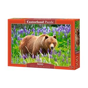 Castorland (B-52677) - "Bear on the Meadow" - 500 piezas