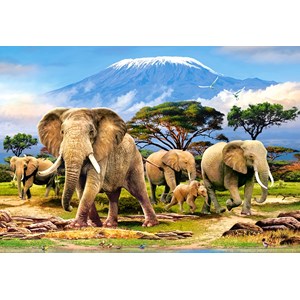 Castorland (C-103188) - "Kilimanjaro Morning" - 1000 piezas