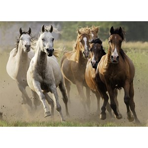 Nathan (87561) - "Herd of Wild Horses" - 1000 piezas