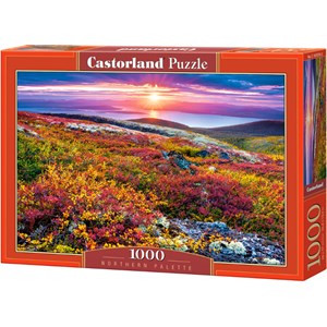 Castorland (C-103539) - "Northern Palette" - 1000 piezas