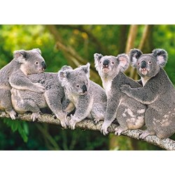 Castorland (B-13289) - "Koalas" - 120 piezas