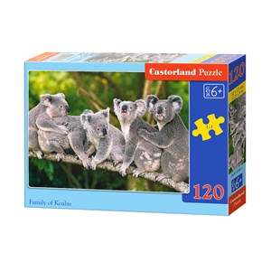 Castorland (B-13289) - "Koalas" - 120 piezas