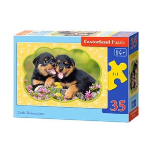 Castorland (B-035205) - "Little Rottweilers" - 35 piezas