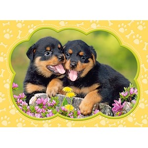 Castorland (B-035205) - "Little Rottweilers" - 35 piezas