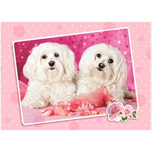 Castorland (B-13128) - "Two Doggies in Pink" - 120 piezas