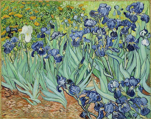 Piatnik (5331) - Vincent van Gogh: "Iris" - 1000 piezas