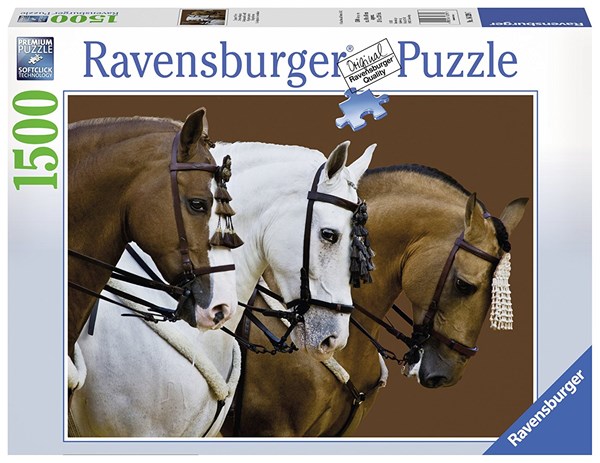 Ravensburger (16339) - "Fortune's Dream" - 1500 piezas