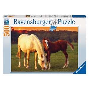 Ravensburger (14347) - "Beautiful Horses" - 500 piezas