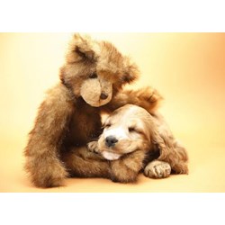 Tactic (40912) - "Puppy and A Teddy" - 1000 piezas