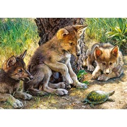 Castorland (B-27385) - "The Shell Game" - 260 piezas