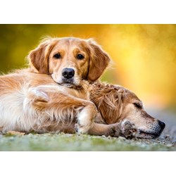 Castorland (B-27361) - "Friendship Forever" - 260 piezas