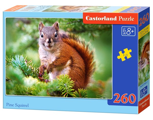 Castorland (B-27422) - "Pine Squirrel" - 260 piezas