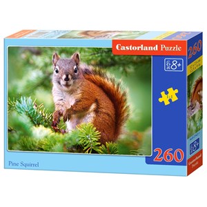 Castorland (B-27422) - "Pine Squirrel" - 260 piezas