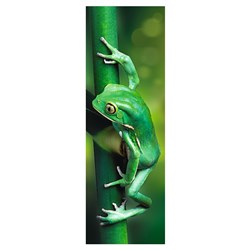 Trefl (75007) - "Little Frog" - 300 piezas