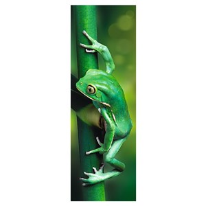 Trefl (75007) - "Little Frog" - 300 piezas