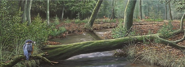 PuzzelMan (229) - Nico Bulder: "Icebird" - 1000 piezas