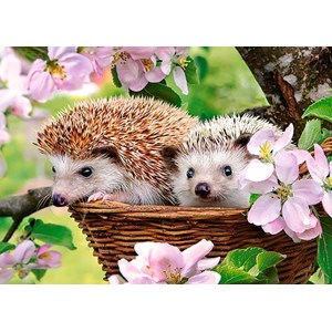 Castorland (B-13319) - "Springtime" - 120 piezas