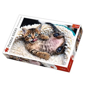 Trefl (10448) - "Cheerful Kitten" - 1000 piezas