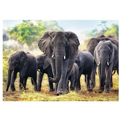 Trefl (10442) - "African Elephants" - 1000 piezas