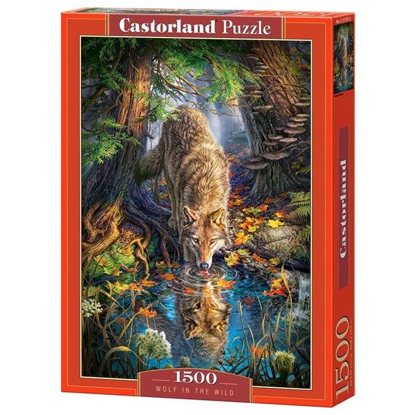 Castorland (C-151707) - "Wolf in the Wild" - 1500 piezas