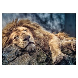 Trefl (10447) - "Sleeping Lion" - 1000 piezas