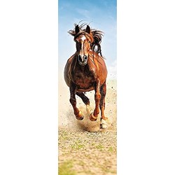 Trefl (75004) - "Horse" - 300 piezas