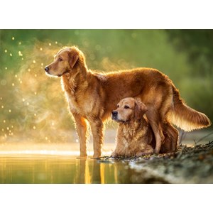 Castorland (B-018253) - "Best Friends" - 180 piezas