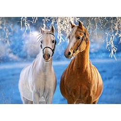 Castorland (B-27378) - "The Winter Horses" - 260 piezas