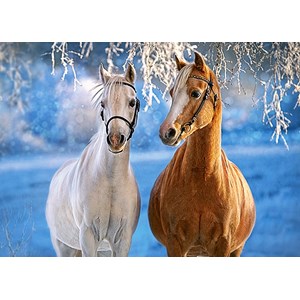 Castorland (B-27378) - "The Winter Horses" - 260 piezas
