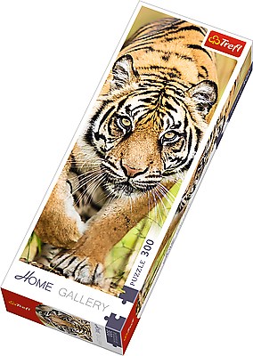 Trefl (75002) - "Tiger" - 300 piezas