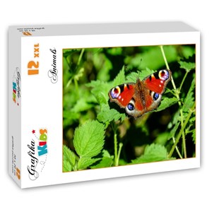 Grafika Kids (01230) - "Butterfly" - 12 piezas