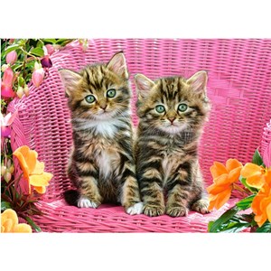 Castorland (B-13357) - "Kittens" - 120 piezas