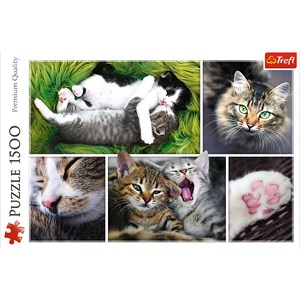 Trefl (26145) - "Collage, Cats" - 1500 piezas