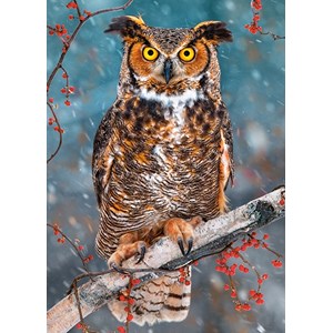 Castorland (B-27347) - "Great Horned Owl" - 260 piezas