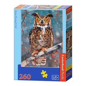 Castorland (B-27347) - "Great Horned Owl" - 260 piezas