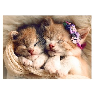 Trefl (37271) - "Sleeping kittens" - 500 piezas