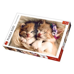 Trefl (37271) - "Sleeping kittens" - 500 piezas