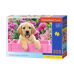 Castorland (B-030071) - "Labrador Puppy in Pink Box" - 300 piezas