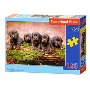 Castorland (B-13418) - "Puppies" - 120 piezas