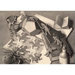 PuzzelMan (821) - M. C. Escher: "Reptiles" - 1000 piezas